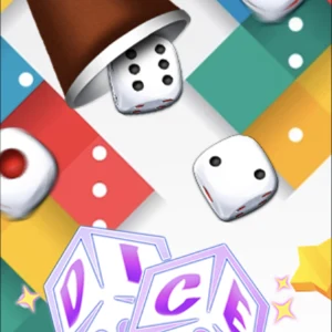 DICE 骰子